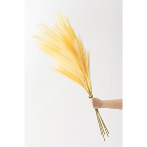Yapay Pampas 100 Cm Tek Dal Sarı 5'li