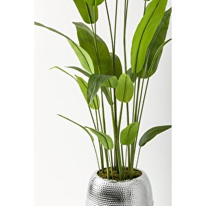 Yapay Starliçe Ağacı 230 Cm Siyah Gümüş Damla Saksı