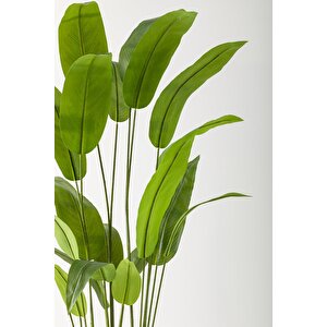 Yapay Starliçe Ağacı 230 Cm Siyah Gümüş Damla Saksı