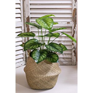 Yapay Salon Köşe Çiçeği Devetabanı Yeşil Sarı 65 Cm Saksısız