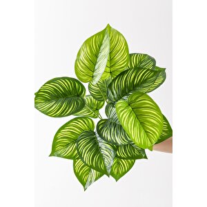 Yapay Salon Köşe Çiçeği Devetabanı Yeşil Sarı 65 Cm Saksısız