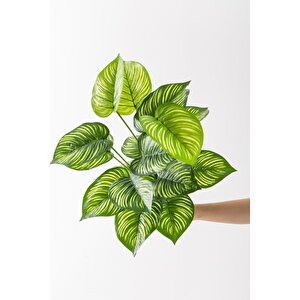 Yapay Salon Köşe Çiçeği Devetabanı Yeşil Sarı 65 Cm Saksısız