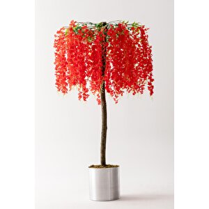 Yapay Akasya Ağacı Kırmızı 180 Cm