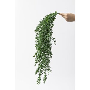 Yapay Okaliptus Sarmaşık Uv Korumalı Koyu Yeşil 90 Cm 5 Dal