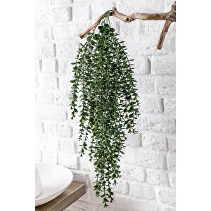 Yapay Okaliptus Sarmaşık Uv Korumalı Koyu Yeşil 90 Cm 5 Dal