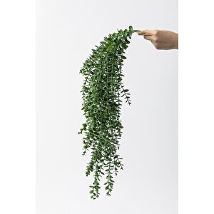 Yapay Okaliptus Sarmaşık Uv Korumalı Koyu Yeşil 90 Cm 5 Dal