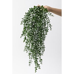 Yapay Okaliptus Sarmaşık Uv Korumalı Koyu Yeşil 90 Cm 5 Dal