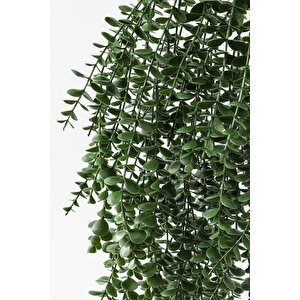 Yapay Okaliptus Sarmaşık Uv Korumalı Koyu Yeşil 90 Cm 5 Dal