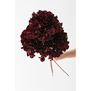 Yapay Vazo Çiçeği Ortanca 75 Cm 5 Dal Bordo