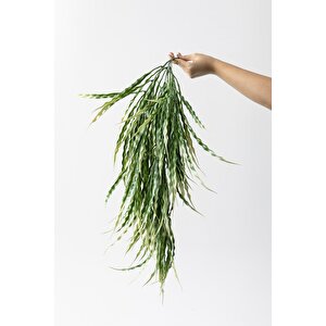 Yapay Sarmaşık Sazlık Yeşil Krem 90 Cm 5 Dal