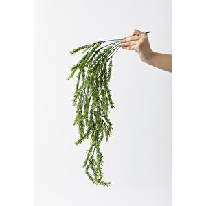Yapay Püsküllü Sarmaşık Uv Korumalı Yeşil 80 Cm 5 Dal
