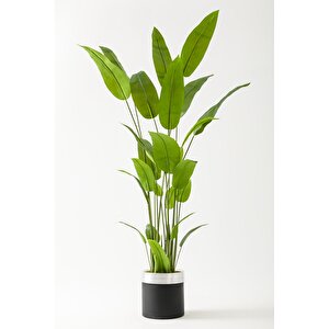 Yapay Starliçe Ağacı 200 Cm Siyah Gümüş Metal Saksı