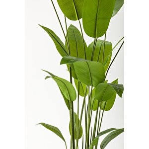Yapay Starliçe Ağacı 200 Cm Siyah Gümüş Metal Saksı