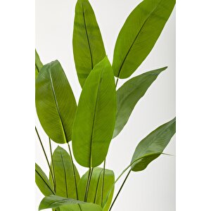 Yapay Starliçe Ağacı 200 Cm Siyah Gümüş Metal Saksı