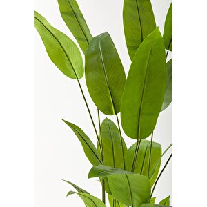 Yapay Starliçe Ağacı 200 Cm Siyah Gümüş Metal Saksı