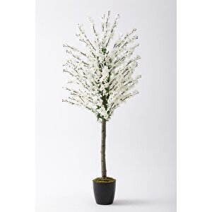 Yapay Bahar Dalı Ağacı 150 Cm 70 Dal Beyaz