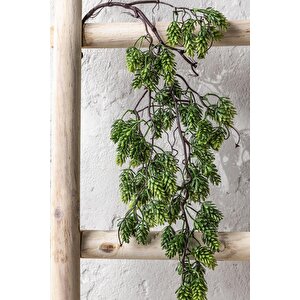 Yapay Sarmaşık Damalı Çam Uv Korumalı 80 Cm