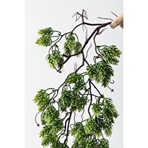 Yapay Sarmaşık Damalı Çam Uv Korumalı 80 Cm