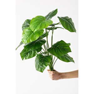 Yapay Salon Köşe Çiçeği Devetabanı Yeşil 65 Cm Saksısız