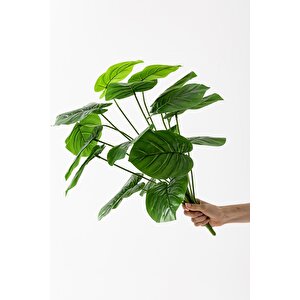 Yapay Salon Köşe Çiçeği Devetabanı Yeşil 65 Cm Saksısız