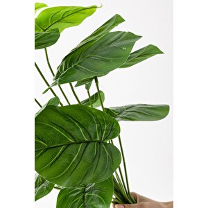Yapay Salon Köşe Çiçeği Devetabanı Yeşil 65 Cm Saksısız