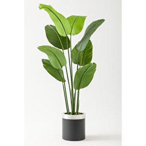 Yapay Starliçe Ağacı 140 Cm Geniş Yapraklı Siyah Metal Saksı