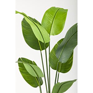 Yapay Starliçe Ağacı 140 Cm Geniş Yapraklı Siyah Metal Saksı