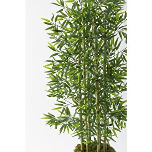 Yapay Bambu Ağacı 190 Cm