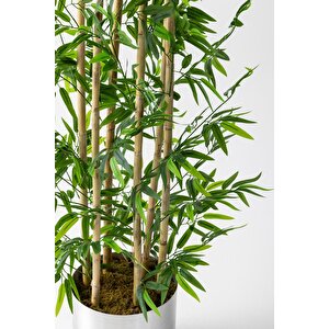 Yapay Bambu Ağacı 185 Cm