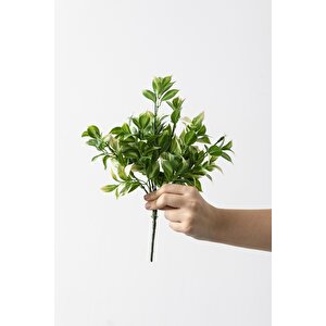 Yapay Limon Yaprağı Demeti Yeşil Krem 30 Cm 7 Dal(uv)