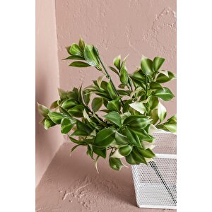 Yapay Limon Yaprağı Demeti Yeşil Krem 30 Cm 7 Dal(uv)