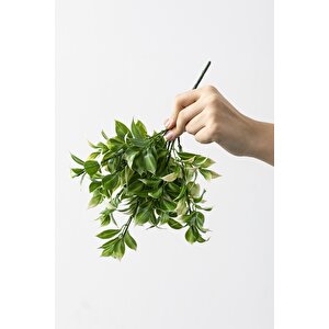 Yapay Limon Yaprağı Demeti Yeşil Krem 30 Cm 7 Dal(uv)