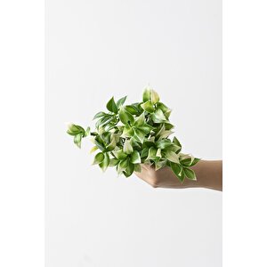 Yapay Limon Yaprağı Demeti Yeşil Krem 30 Cm 7 Dal(uv)