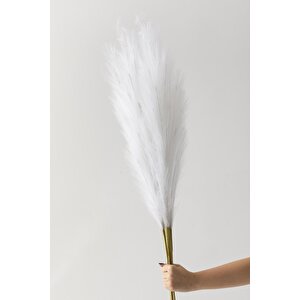 Yapay Pampas 100 Cm Tek Dal Beyaz 5'li