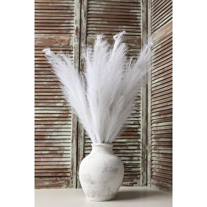 Yapay Pampas 100 Cm Tek Dal Beyaz 5'li