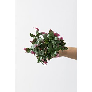 Yapay Limon Yaprağı Demeti Yeşil Pembe 30 Cm 7 Dal(uv)