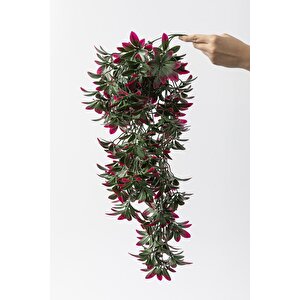 Yapay Sarmaşık Şeflore Uv Korumalı Yeşil Pembe 80 Cm 5 Dal