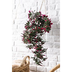 Yapay Sarmaşık Şeflore Uv Korumalı Yeşil Pembe 80 Cm 5 Dal