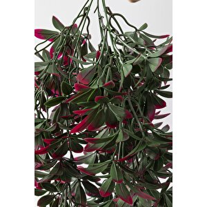 Yapay Sarmaşık Şeflore Uv Korumalı Yeşil Pembe 80 Cm 5 Dal