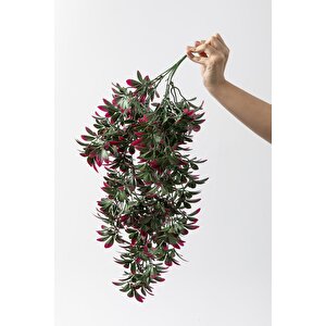 Yapay Sarmaşık Şeflore Uv Korumalı Yeşil Pembe 80 Cm 5 Dal