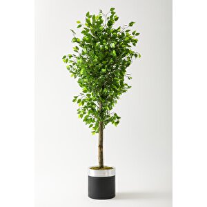 Yapay Benjamin Ağacı 180 Cm Siyah Gümüş Metal Saksı