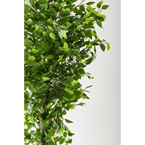 Yapay Benjamin Ağacı 180 Cm Siyah Gümüş Metal Saksı