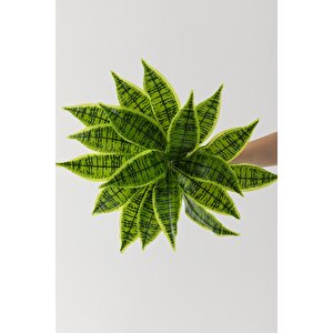 Yapay Çiçek Kılıç Yaprak Aglaonema Bitkisi