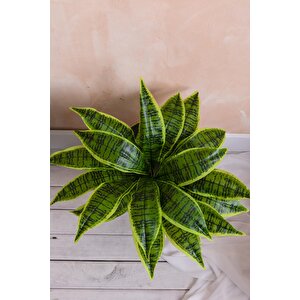 Yapay Çiçek Kılıç Yaprak Aglaonema Bitkisi