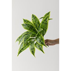 Yapay Çiçek Kılıç Yaprak Aglaonema Bitkisi
