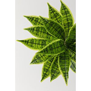 Yapay Çiçek Kılıç Yaprak Aglaonema Bitkisi