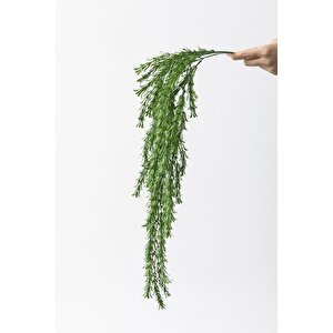 Yapay Püsküllü Sarmaşık Uv Korumalı Koyu Yeşil 80 Cm 5 Dal
