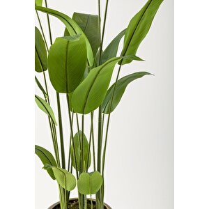 Yapay Starliçe Ağacı 230 Cm Kahverengi Eskitme Damla Saksı