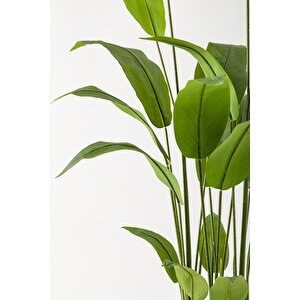 Yapay Starliçe Ağacı 230 Cm Kahverengi Eskitme Damla Saksı