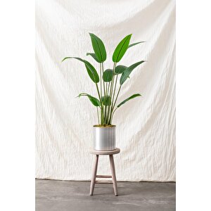 Yapay Starliçe Ağacı 120 Cm